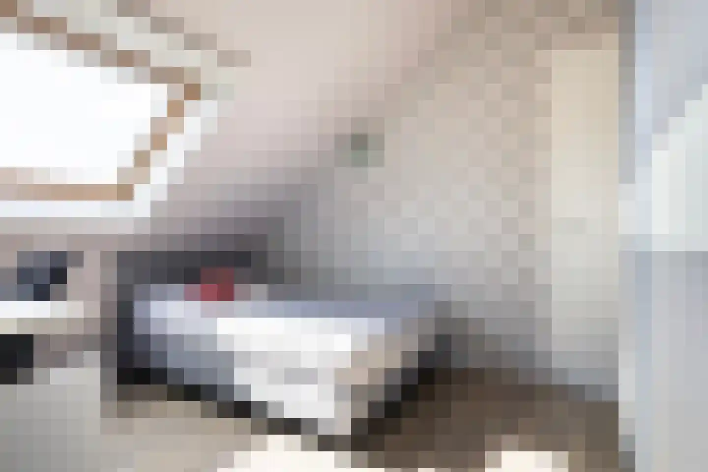 Dieuwert 9 Dokkum thumbnail 47