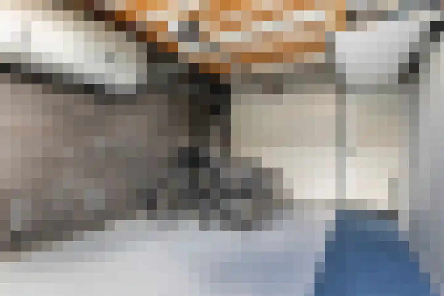 Dieuwert 9 Dokkum thumbnail 49