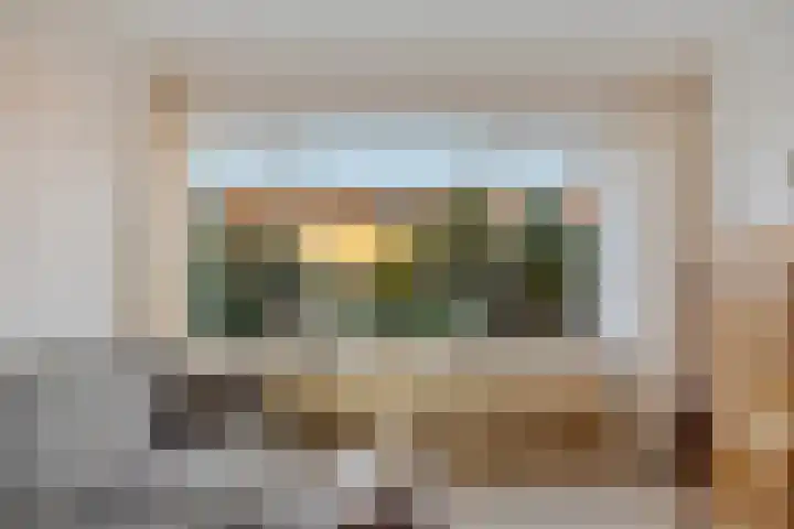 Dievelings 24 Eelde thumbnail 10