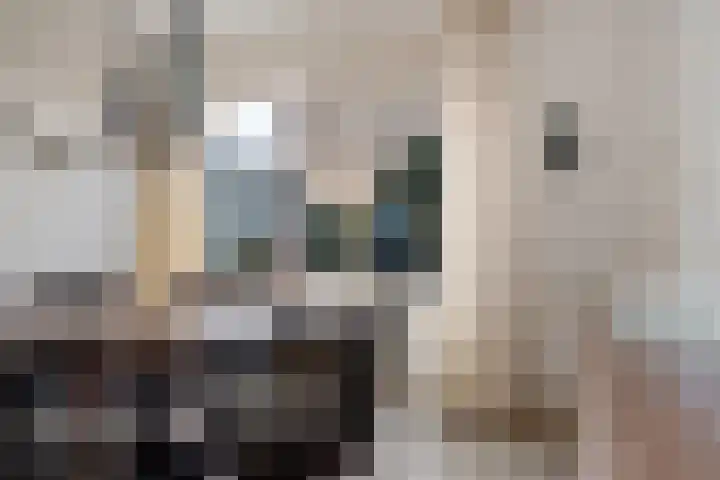 Dievelings 24 Eelde thumbnail 14