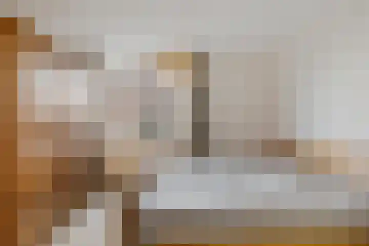 Dievelings 24 Eelde thumbnail 25