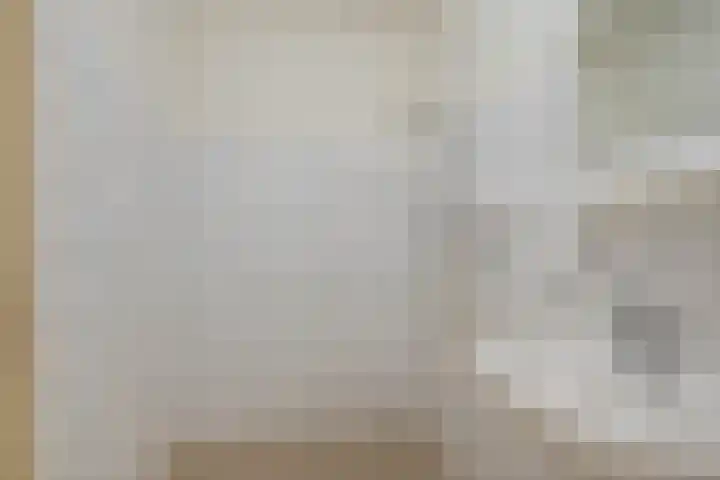 Dievelings 24 Eelde thumbnail 27
