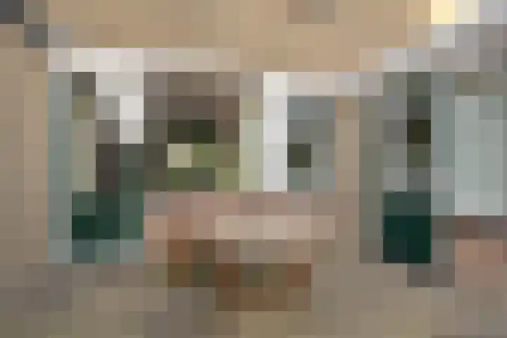 Dievelings 24 Eelde thumbnail 32