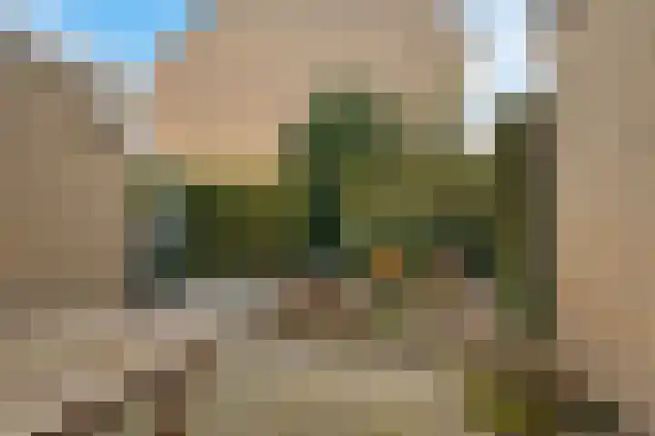 Dievelings 24 Eelde thumbnail 34