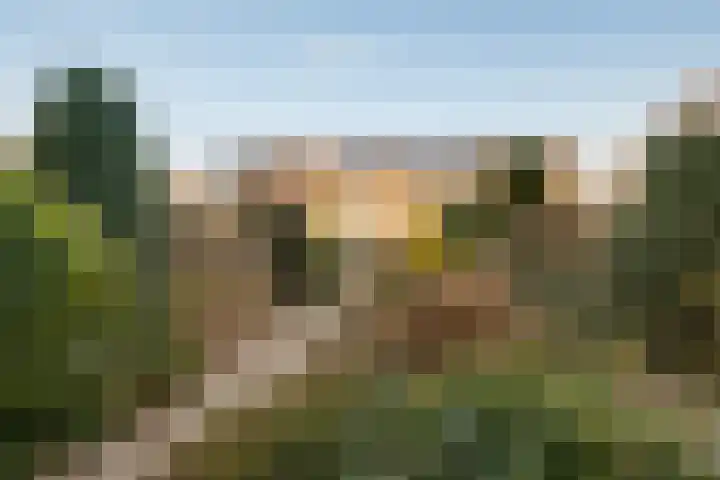 Dievelings 24 Eelde thumbnail 37