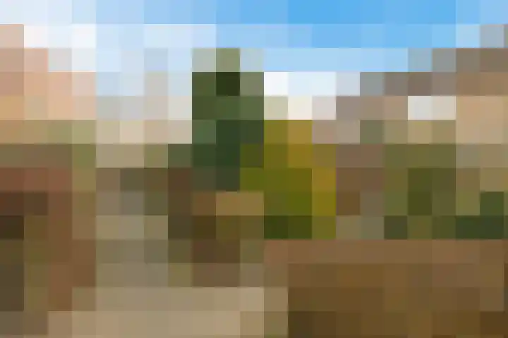 Dievelings 24 Eelde thumbnail 38