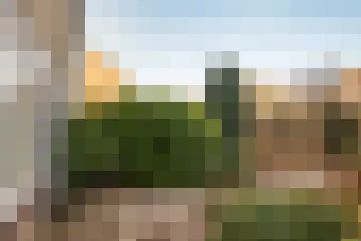 Dievelings 24 Eelde thumbnail 5