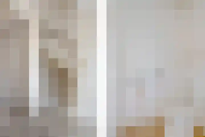 Dievelings 24 Eelde thumbnail 8
