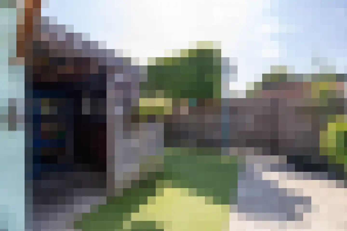Dievelings 37 Eelde thumbnail 28