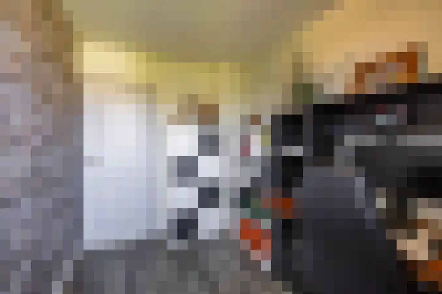Dievelings 37 Eelde thumbnail 36