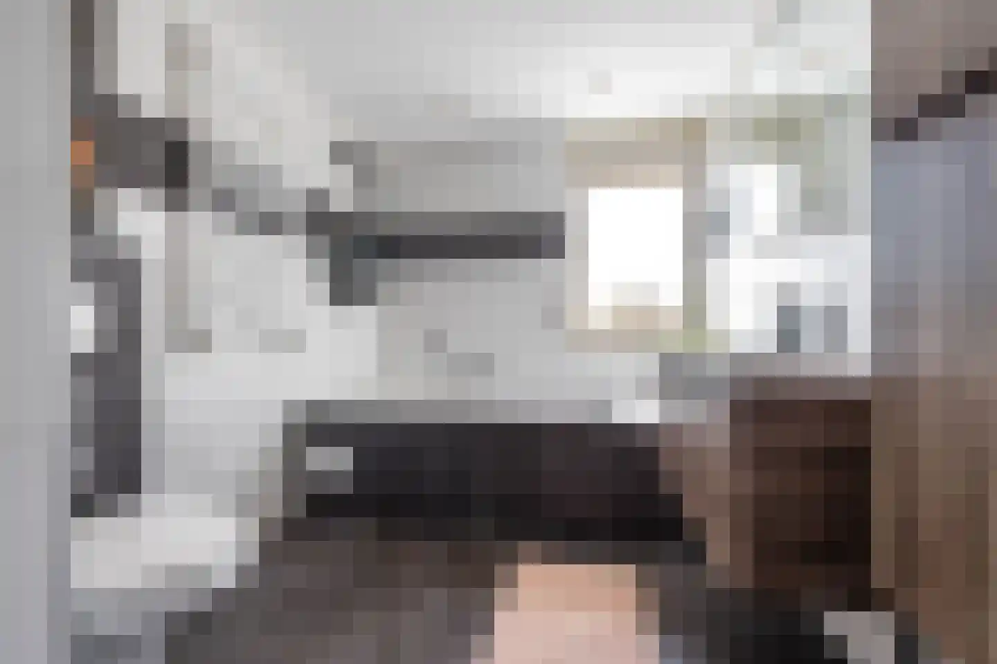 Dievelings 37 Eelde thumbnail 39