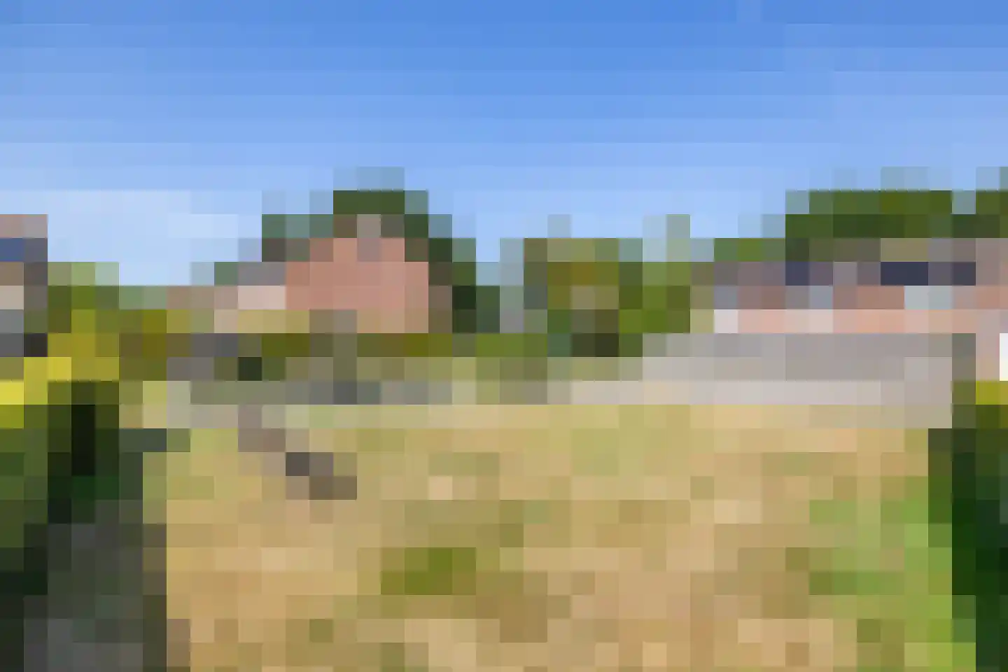 Dievelings 37 Eelde thumbnail 46