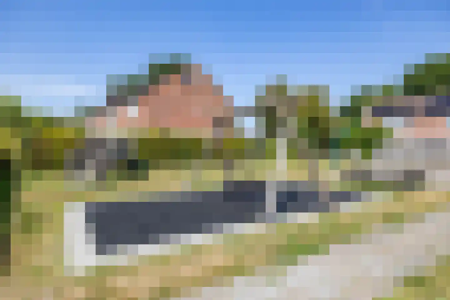 Dievelings 37 Eelde thumbnail 47