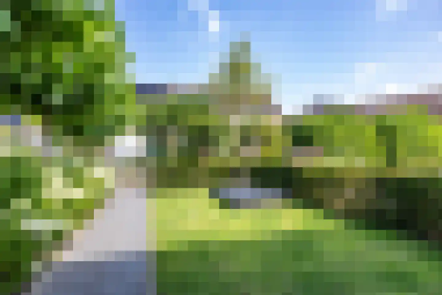 Dievelings 37 Eelde thumbnail 8