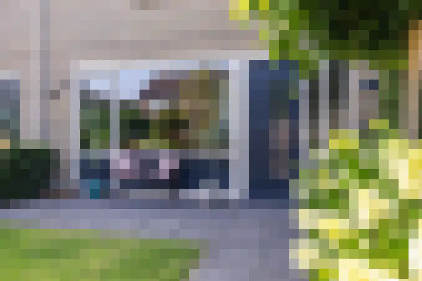 Dievelings 37 Eelde thumbnail 9