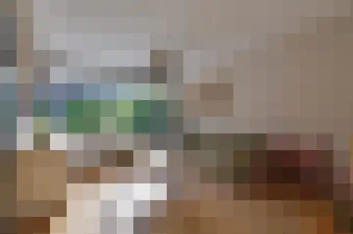 Dievelings 5 Eelde thumbnail 10