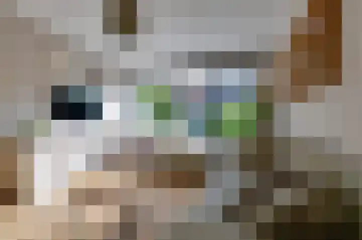 Dievelings 5 Eelde thumbnail 13