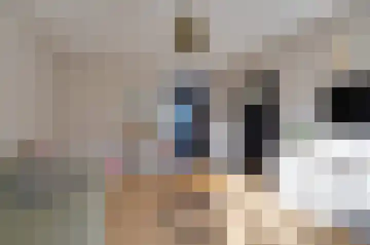 Dievelings 5 Eelde thumbnail 14