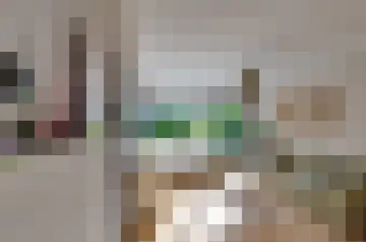 Dievelings 5 Eelde thumbnail 15