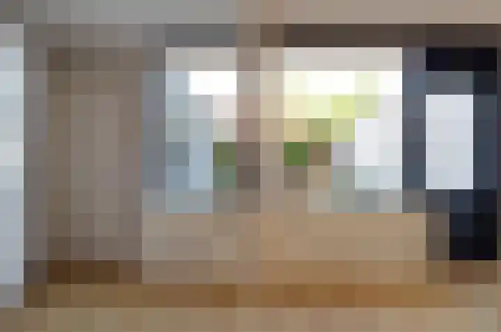 Dievelings 5 Eelde thumbnail 16