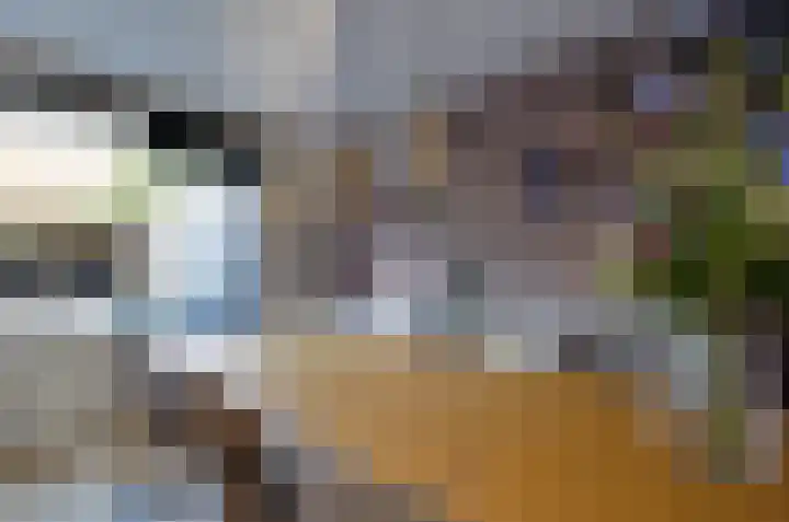 Dievelings 5 Eelde thumbnail 17