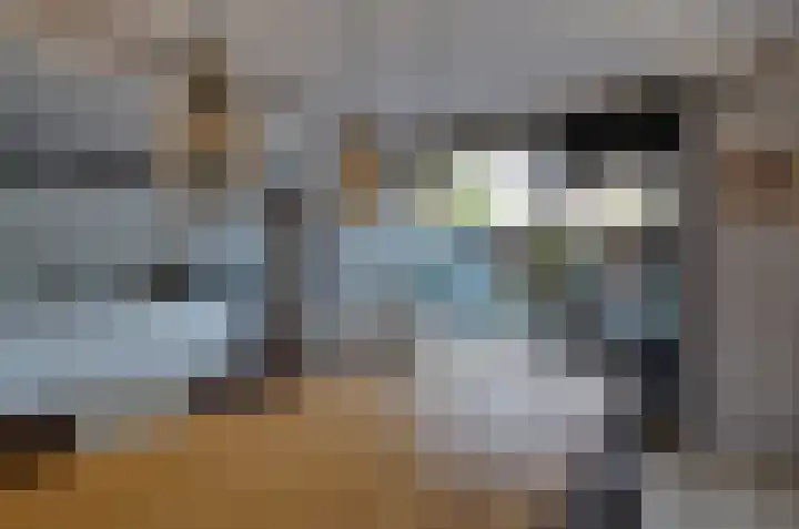 Dievelings 5 Eelde thumbnail 21