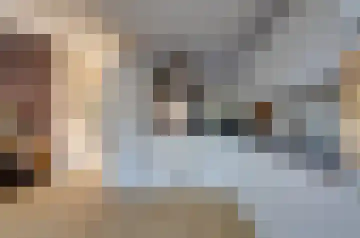 Dievelings 5 Eelde thumbnail 22