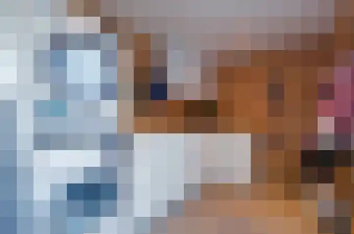 Dievelings 5 Eelde thumbnail 24