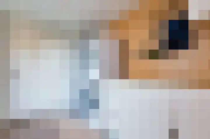 Dievelings 5 Eelde thumbnail 25