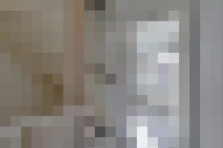 Dievelings 5 Eelde thumbnail 27