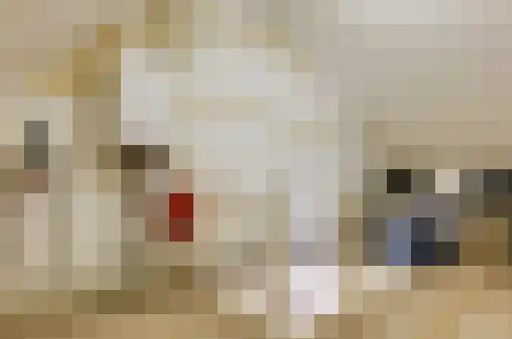 Dievelings 5 Eelde thumbnail 41