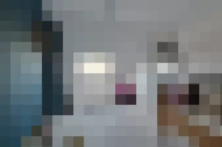 Dievelings 5 Eelde thumbnail 43