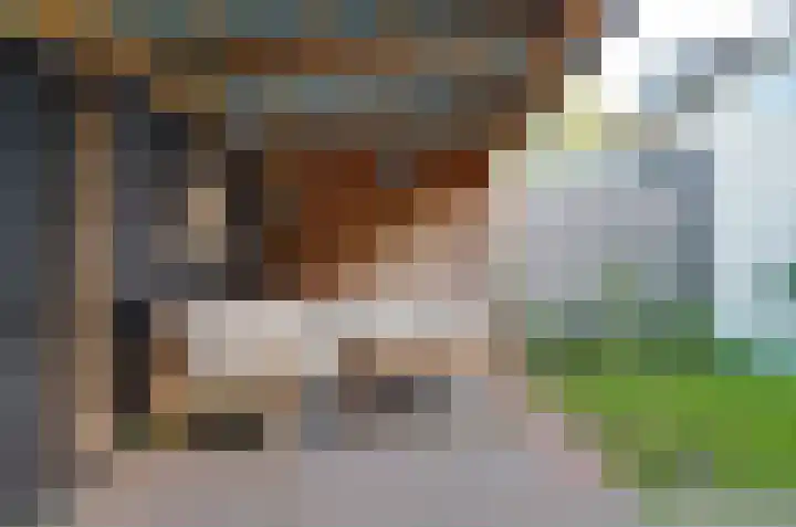 Dievelings 5 Eelde thumbnail 46