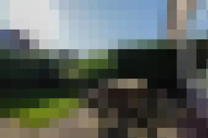 Dievelings 5 Eelde thumbnail 50