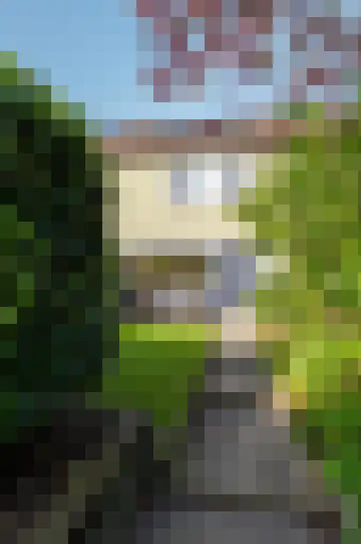 Dievelings 5 Eelde thumbnail 51