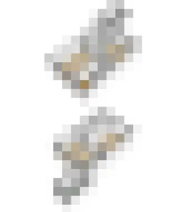 Dievelings 5 Eelde thumbnail 53