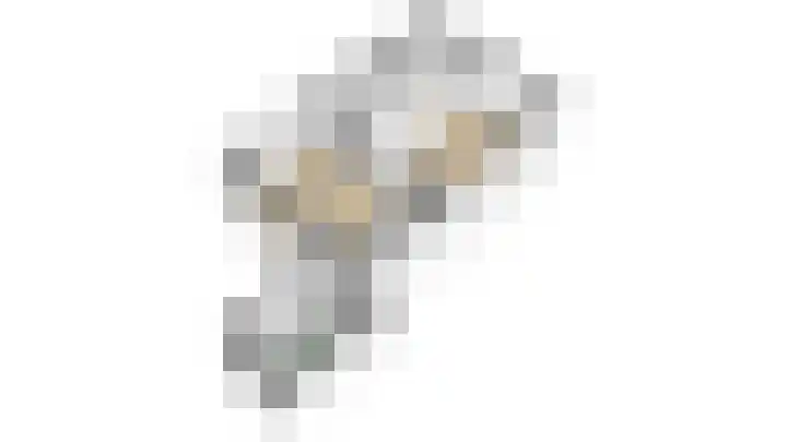 Dievelings 5 Eelde thumbnail 54