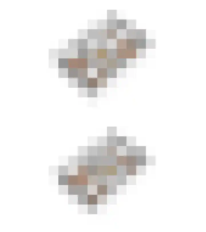 Dievelings 5 Eelde thumbnail 57