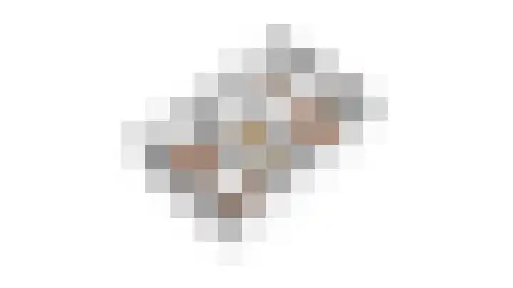 Dievelings 5 Eelde thumbnail 59