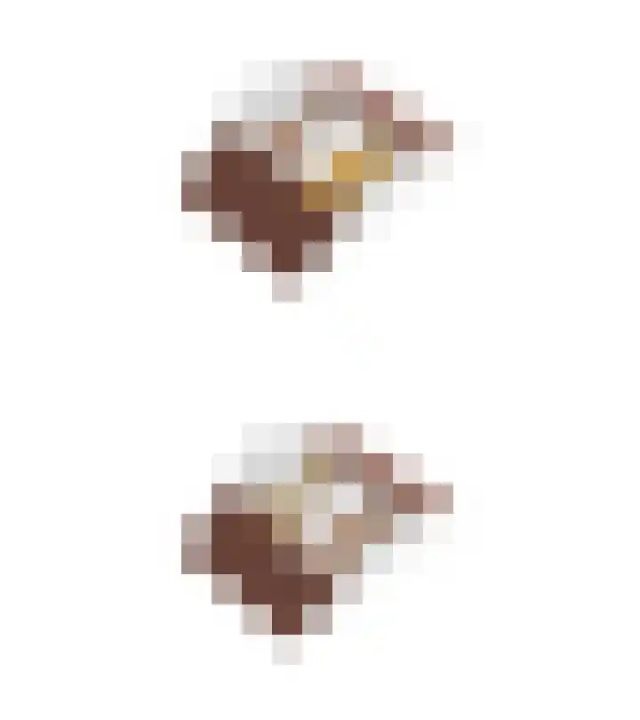 Dievelings 5 Eelde thumbnail 61
