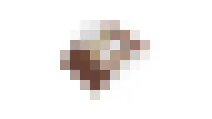 Dievelings 5 Eelde thumbnail 62
