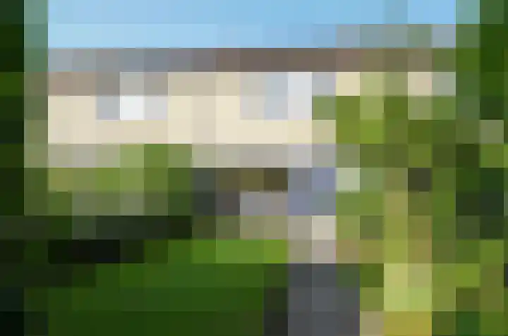 Dievelings 5 Eelde thumbnail 64