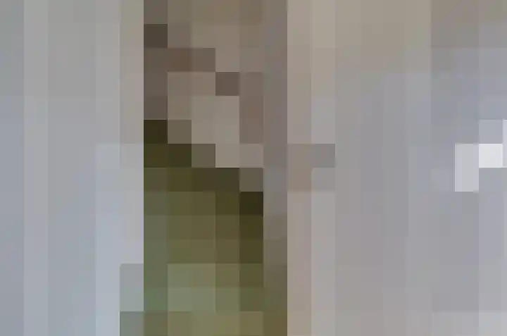 Dievelings 5 Eelde thumbnail 8