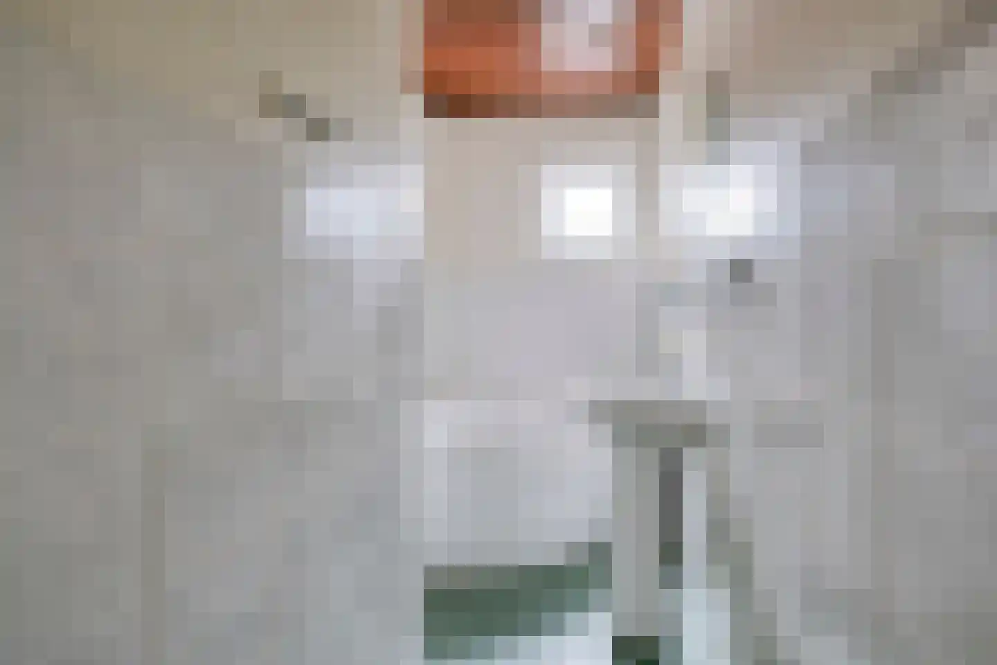 Dieverbrug 28 Dieverbrug thumbnail 21