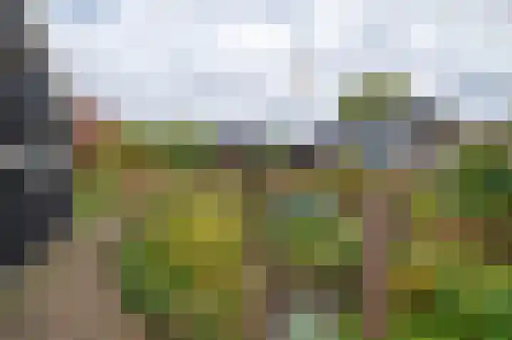 Dieverbrug 49 Dieverbrug thumbnail 31