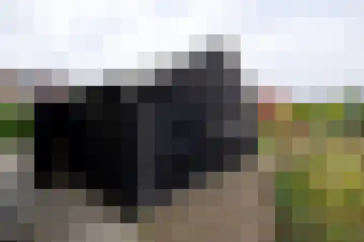 Dieverbrug 49 Dieverbrug thumbnail 42