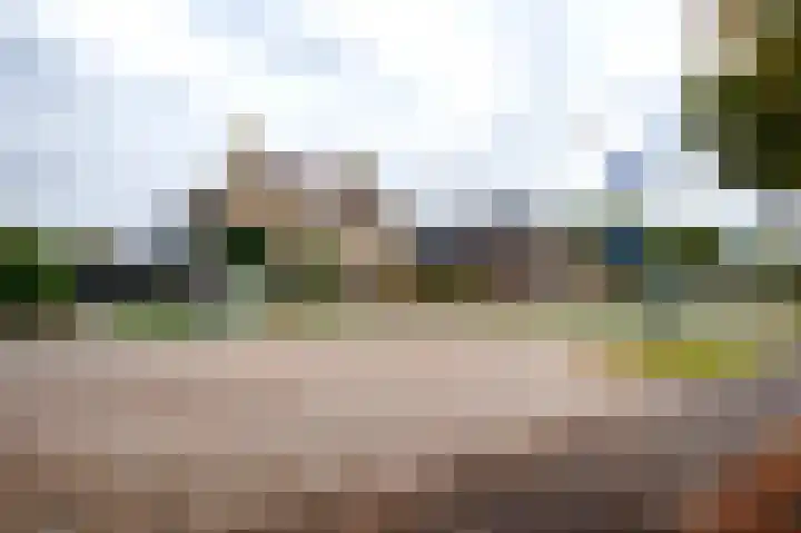 Dieverbrug 49 Dieverbrug thumbnail 50
