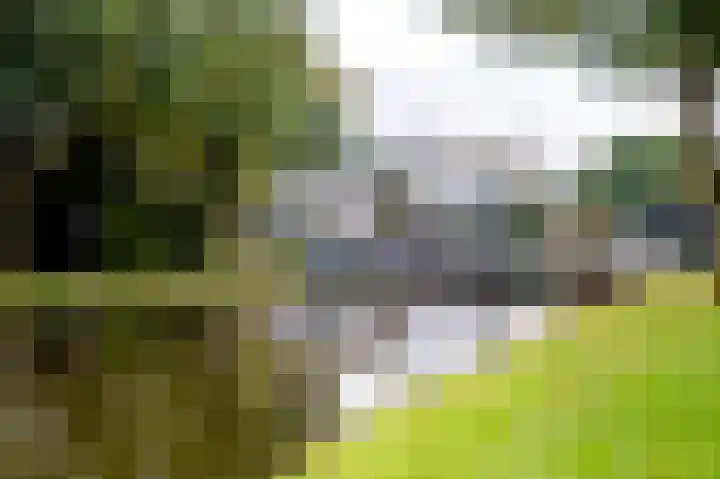 Dieverbrug 49 Dieverbrug thumbnail 51