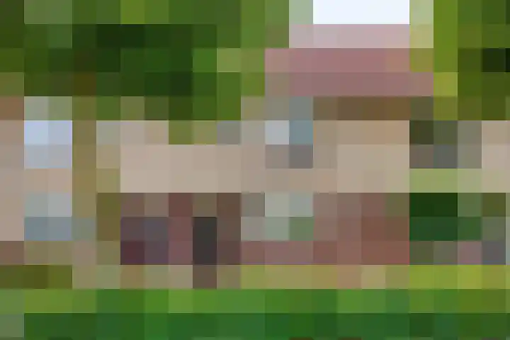 Dieze 11 Veldhoven thumbnail 33