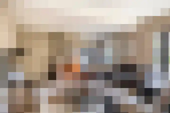 Dieze 16 Tilburg thumbnail 16